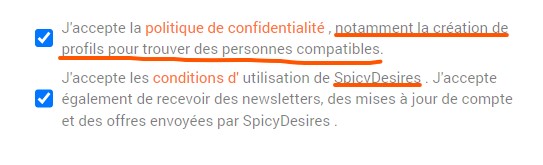 faux profile spicy desires